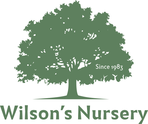 Wilson's Nursery